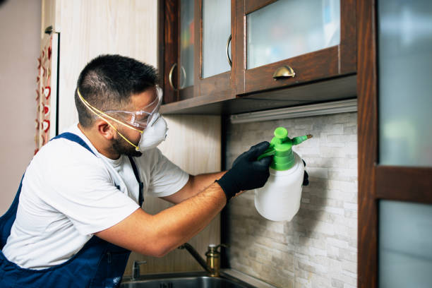 Best Residential Pest Control  in Alachua, FL