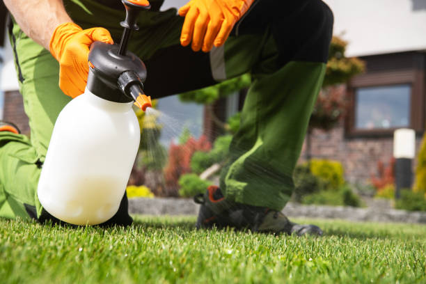 Best Best Pest Control Companies  in Alachua, FL