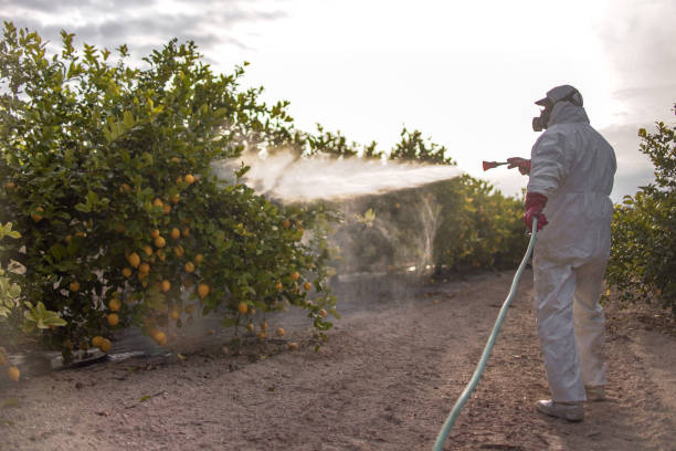 Best Best Pest Control Companies  in Alachua, FL